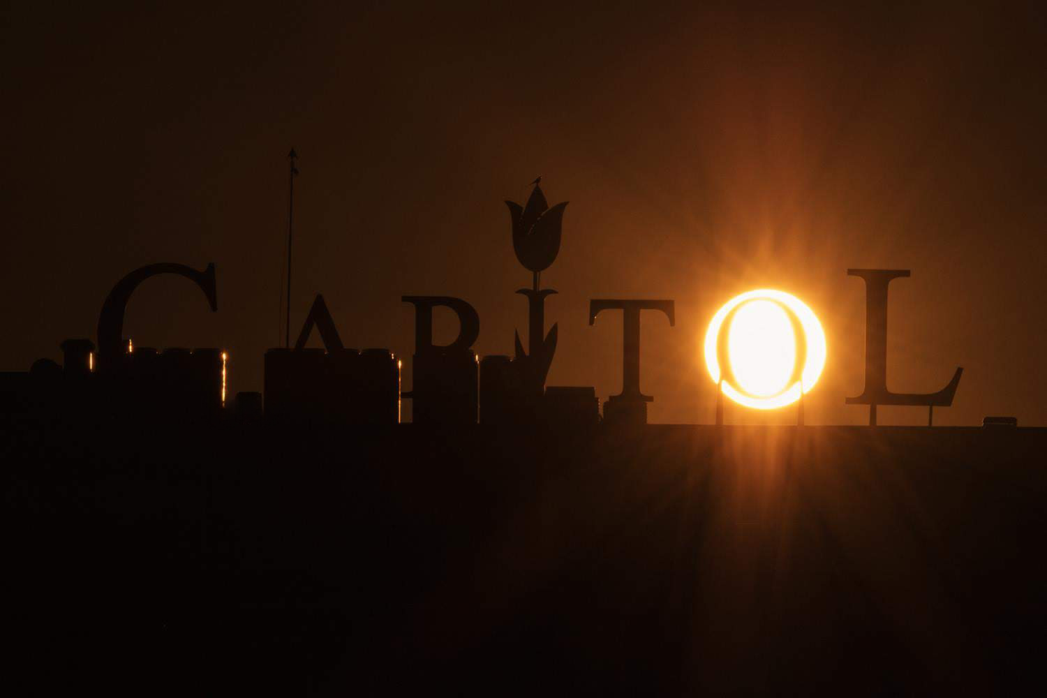 Solar Surface Detail